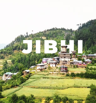 Jibhi